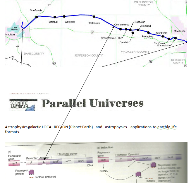 p-698-21.PNG