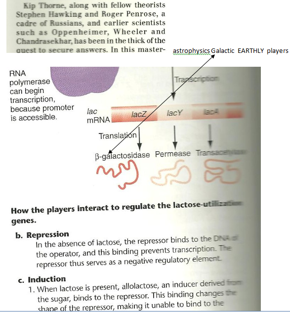 p-698-23a.PNG